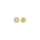 Pendientes Michael Kors Brilliance MKC1827710
