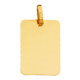 9K PLACA CHAPA RECTAGULAR ORO AMARILLO BRILLO 17X12 MM