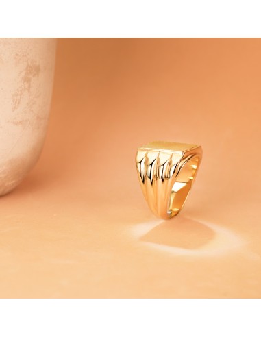 18K SELLO ORO AMARILLO CABALLERO MATE BRILLO...
