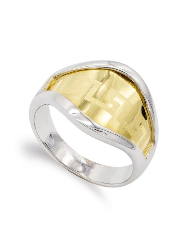 18K SORTIJA ORO BICOLOR CON DIBUJO LASER DE...