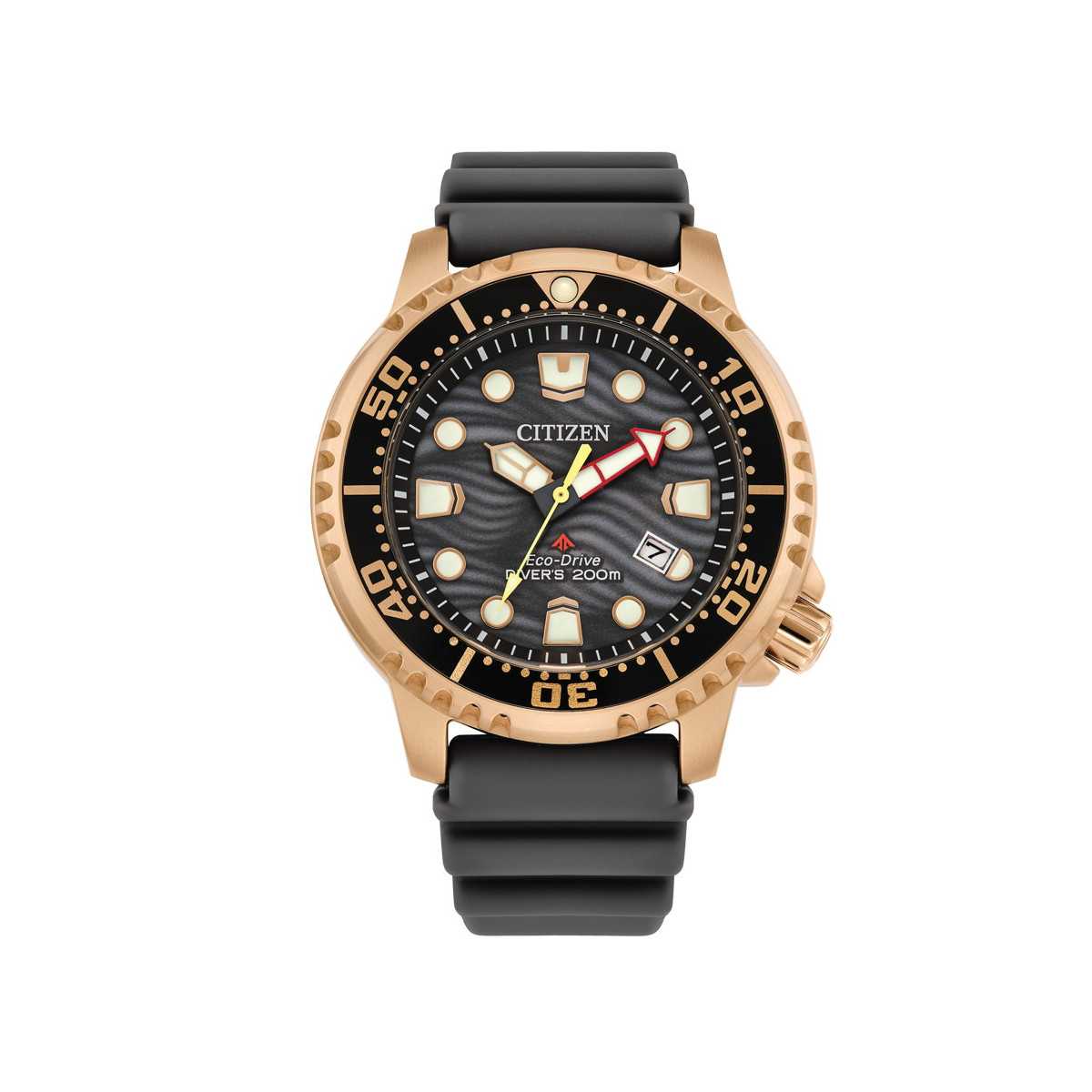 Reloj Citizen Diver Eco Drive BN0163-00H