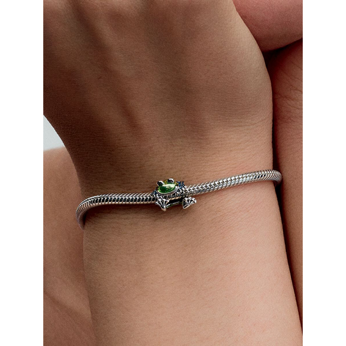 Charm Pandora Rana Trepadora 793342C01